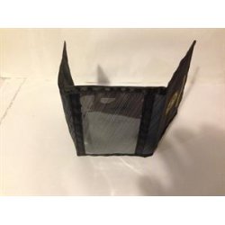 Borussia Dortmund pung 